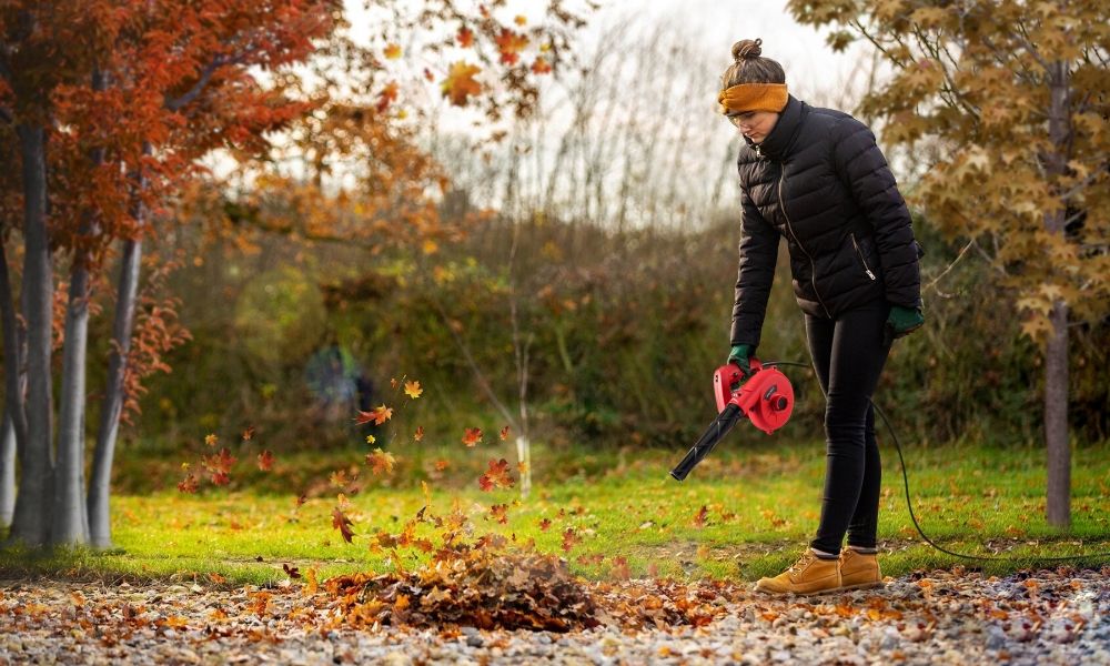 Повітродув електричний WORCRAFT LB‑600