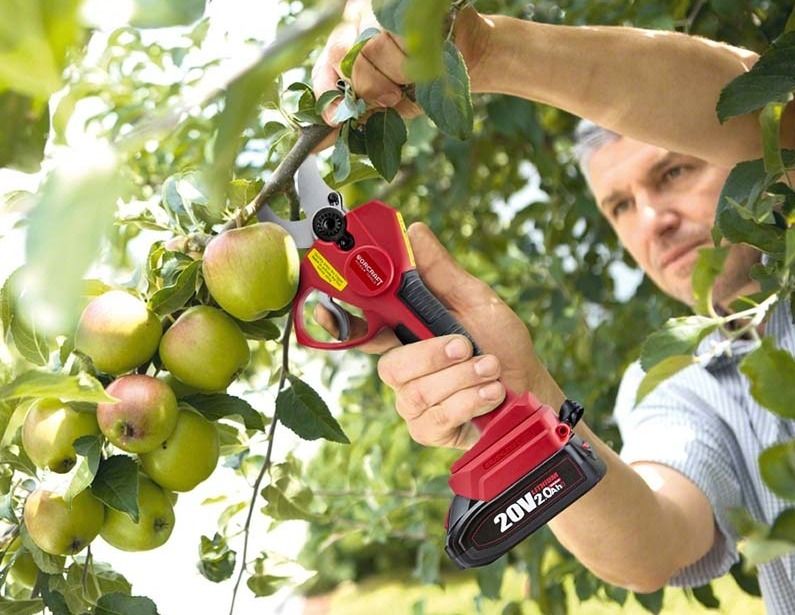 Акумуляторний безщітковий секатор WORCRAFT CSC-S20LiBP