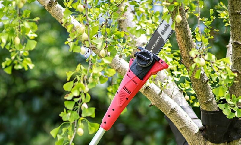 Акумуляторний гілкоріз-висоторіз WORCRAFT CPS-S20Li