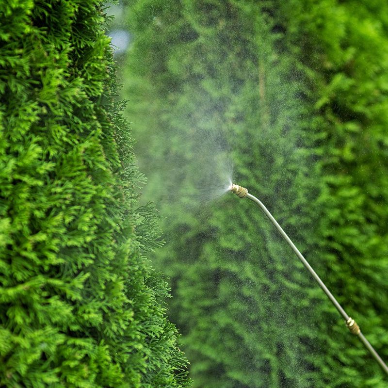 Акумуляторний обприскувач WORCRAFT CBS-S20Li-8L