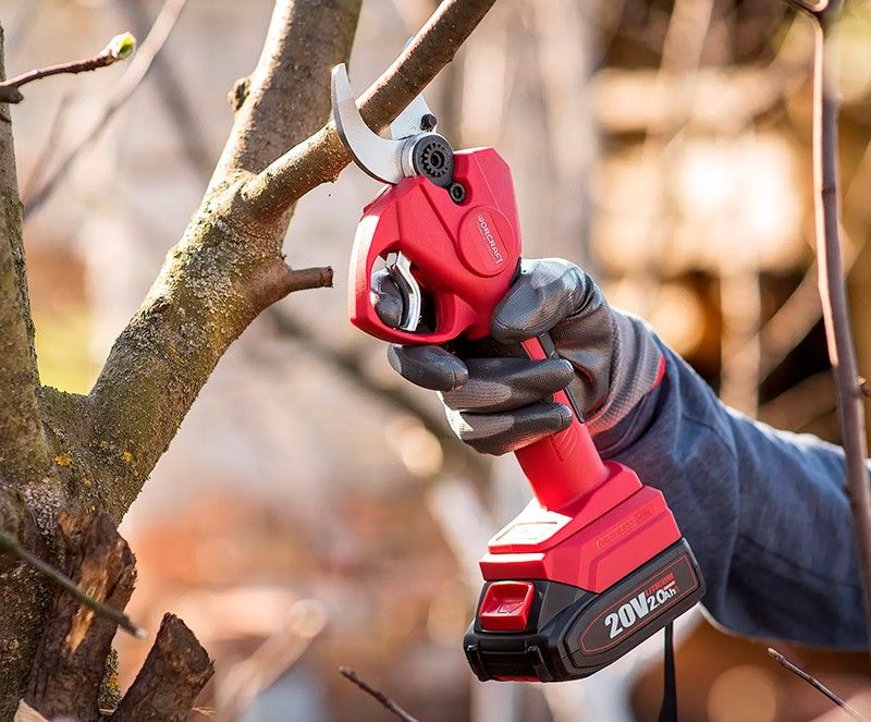 Акумуляторний безщітковий секатор WORCRAFT CSC-S20LiBP