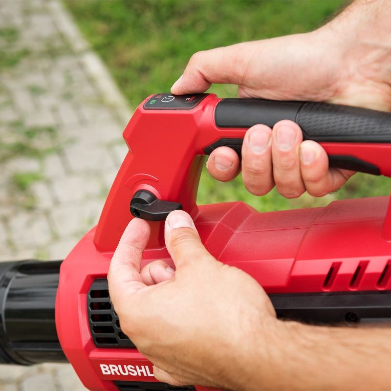 Акумуляторний безщітковий садовий повітродув WORCRAFT CLB-S40LiB