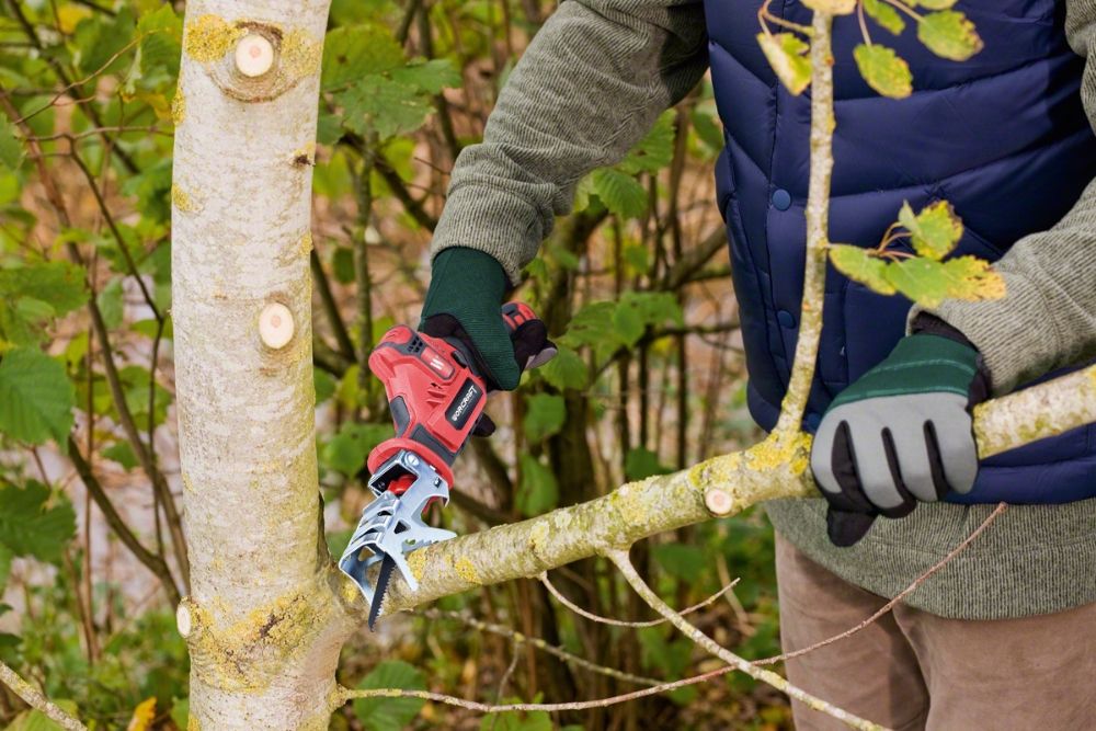 Акумуляторна шабельна пила WORCRAFT CSS-12Li