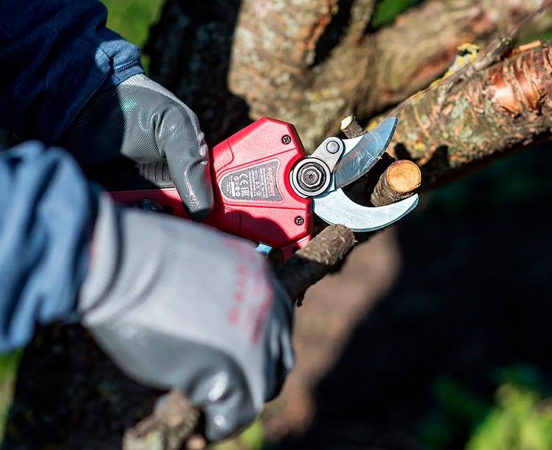 Акумуляторний безщітковий секатор WORCRAFT CSC-S20LiBP