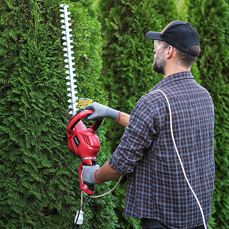 Кущоріз WORCRAFT HT06-550