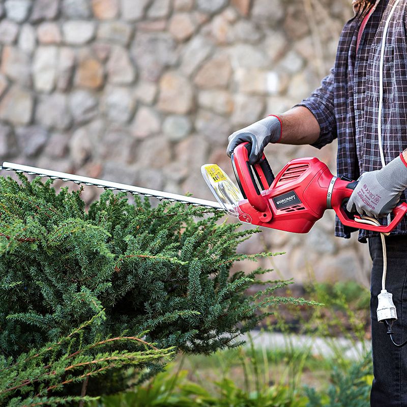 Кущоріз WORCRAFT HT06-550