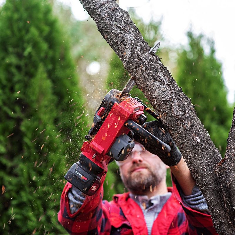 Акумуляторна безщіткова пила ланцюгова WORCRAFT CGC-S20LiB