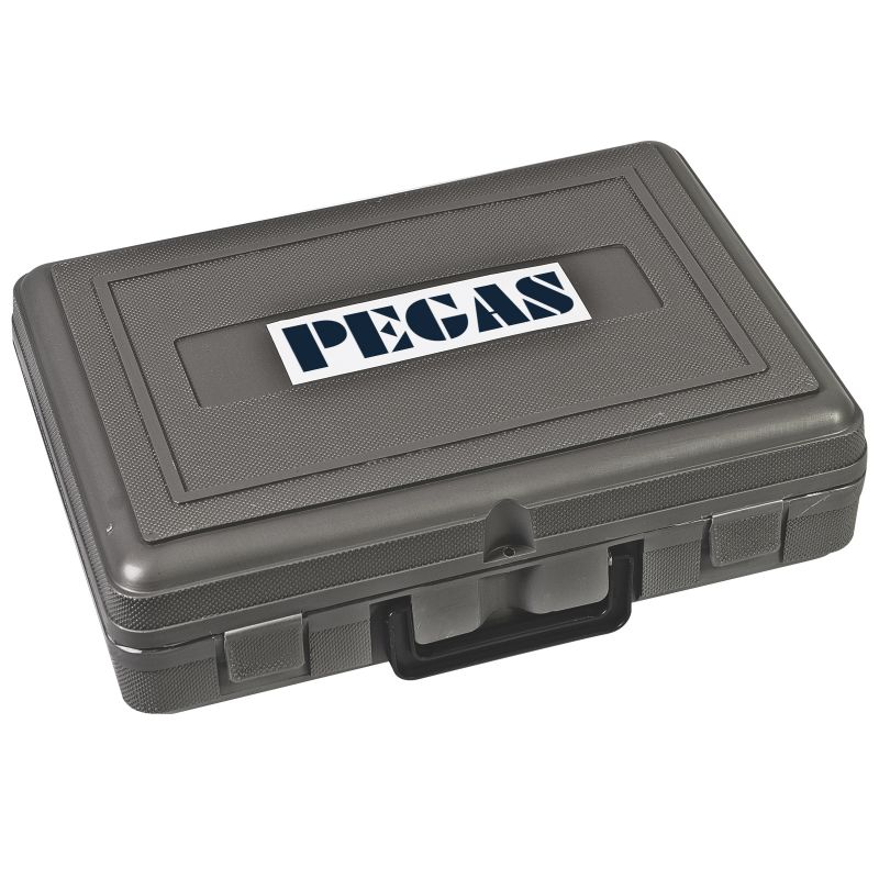 Гравер PEGAS MG-200