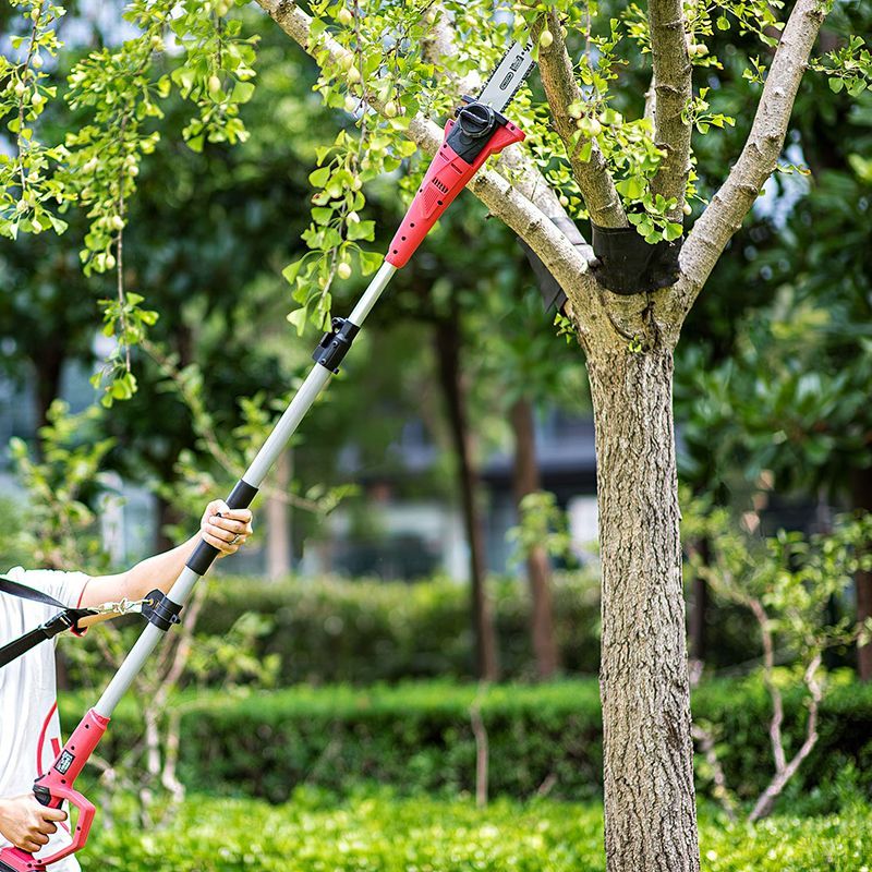 Акумуляторний гілкоріз-висоторіз WORCRAFT CPS-S20Li