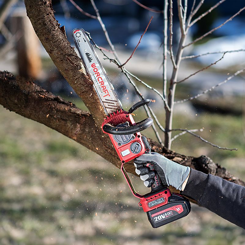 Акумуляторна безщіткова пила ланцюгова WORCRAFT CGC-S20LiBDM