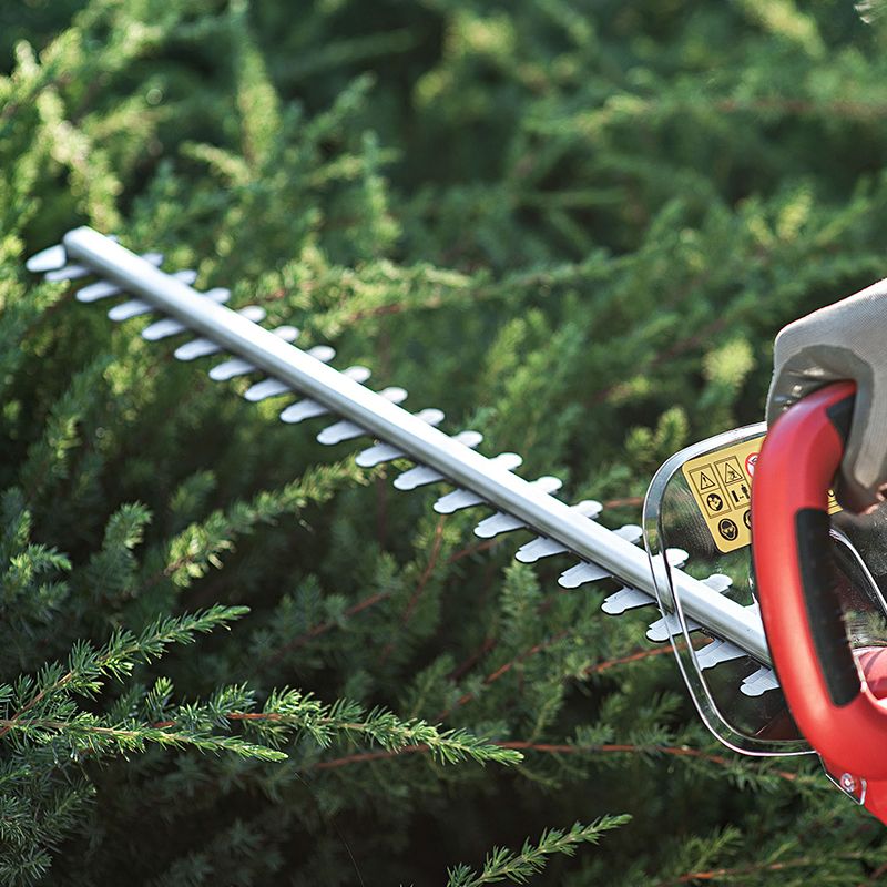 Кущоріз WORCRAFT HT06-550